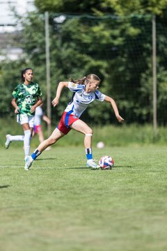 Bild 323 - wBJ Hamburger SV - VfL Wolfsburg : Ergebnis: 5:1